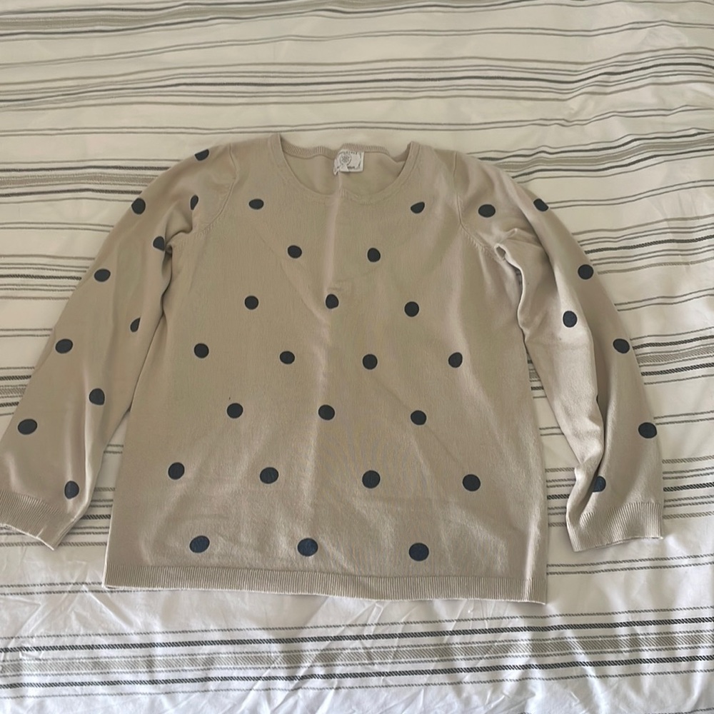 Tan and blue polka dot sweater.